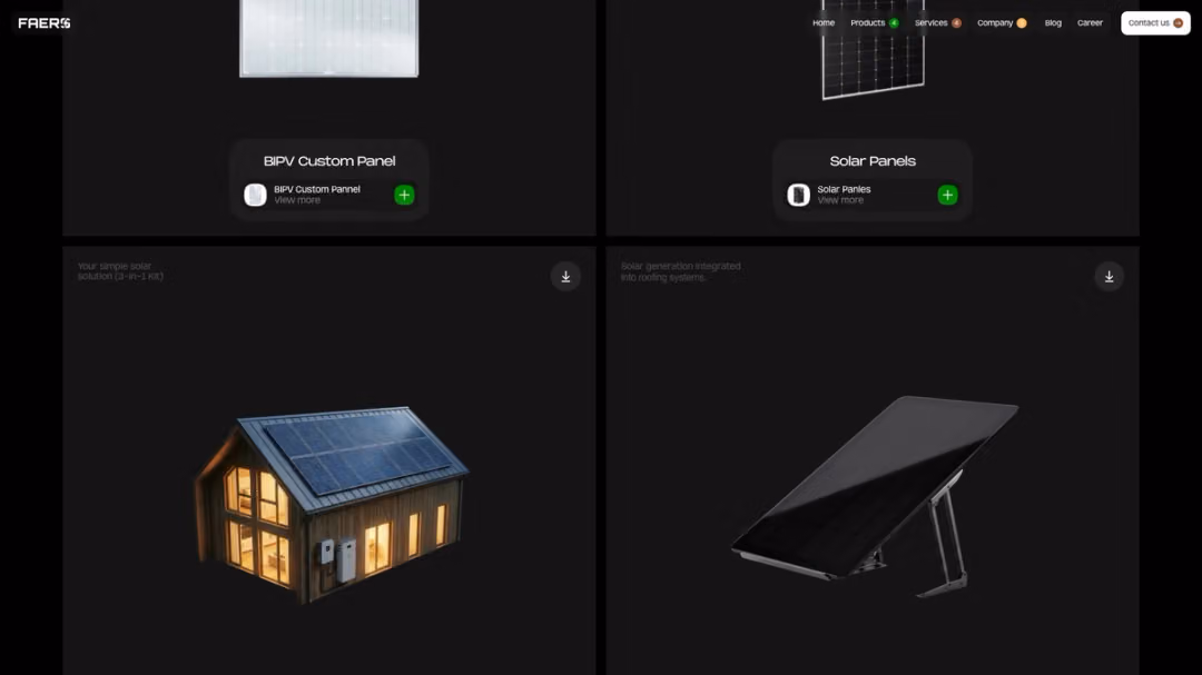 FAERS website, desktop screen 6